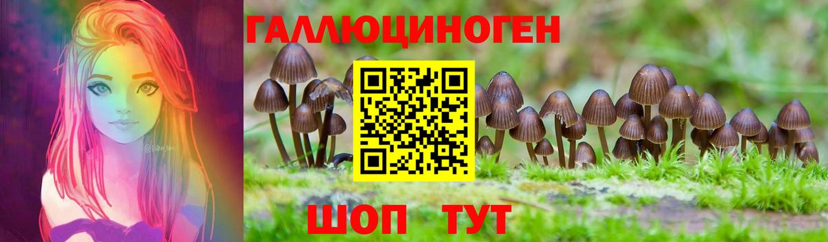 Галлюциногенные грибы прущие грибы  Вход с VPN  Псилоцибиновые грибы мицелий  Егорьевск 